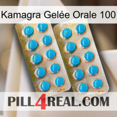 Kamagra Gelée Orale 100 new08